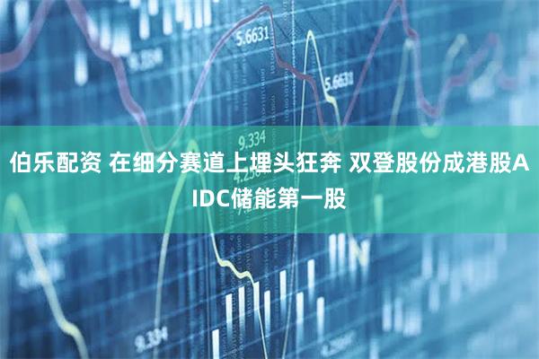 伯乐配资 在细分赛道上埋头狂奔 双登股份成港股AIDC储能第一股