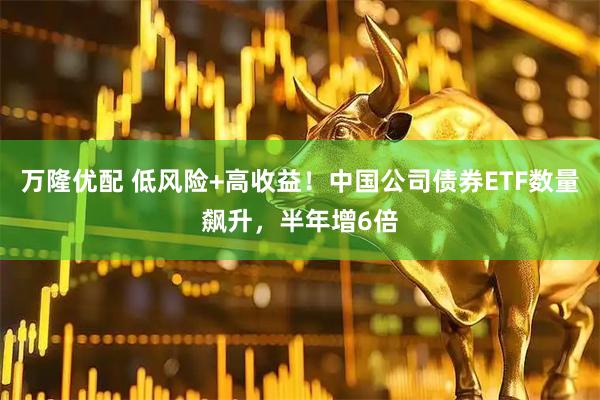 万隆优配 低风险+高收益！中国公司债券ETF数量飙升，半年增6倍