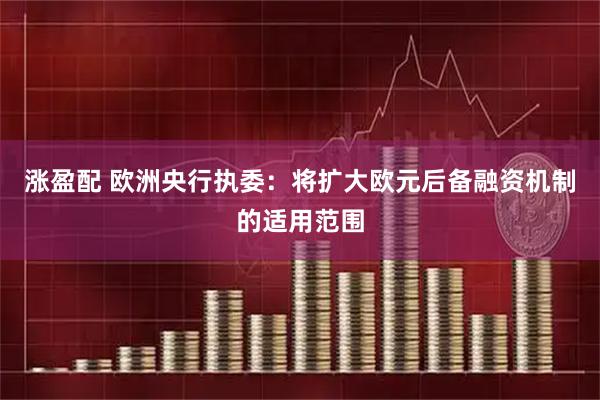 涨盈配 欧洲央行执委：将扩大欧元后备融资机制的适用范围
