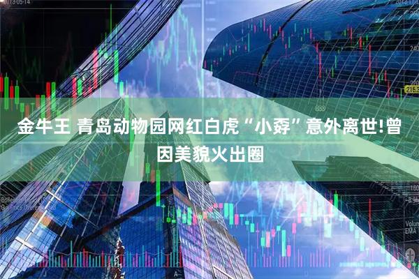 金牛王 青岛动物园网红白虎“小孬”意外离世!曾因美貌火出圈