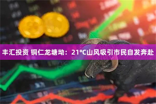 丰汇投资 铜仁龙塘坳：21℃山风吸引市民自发奔赴